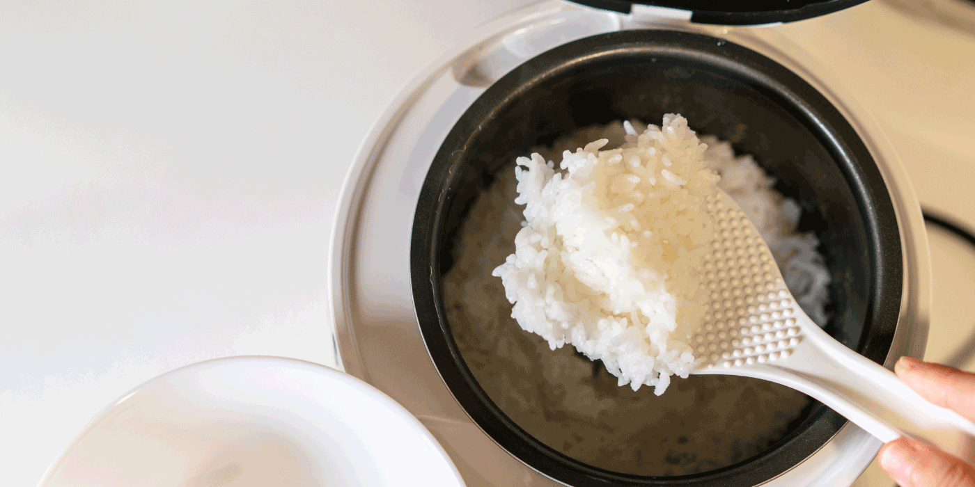dash rice cooker