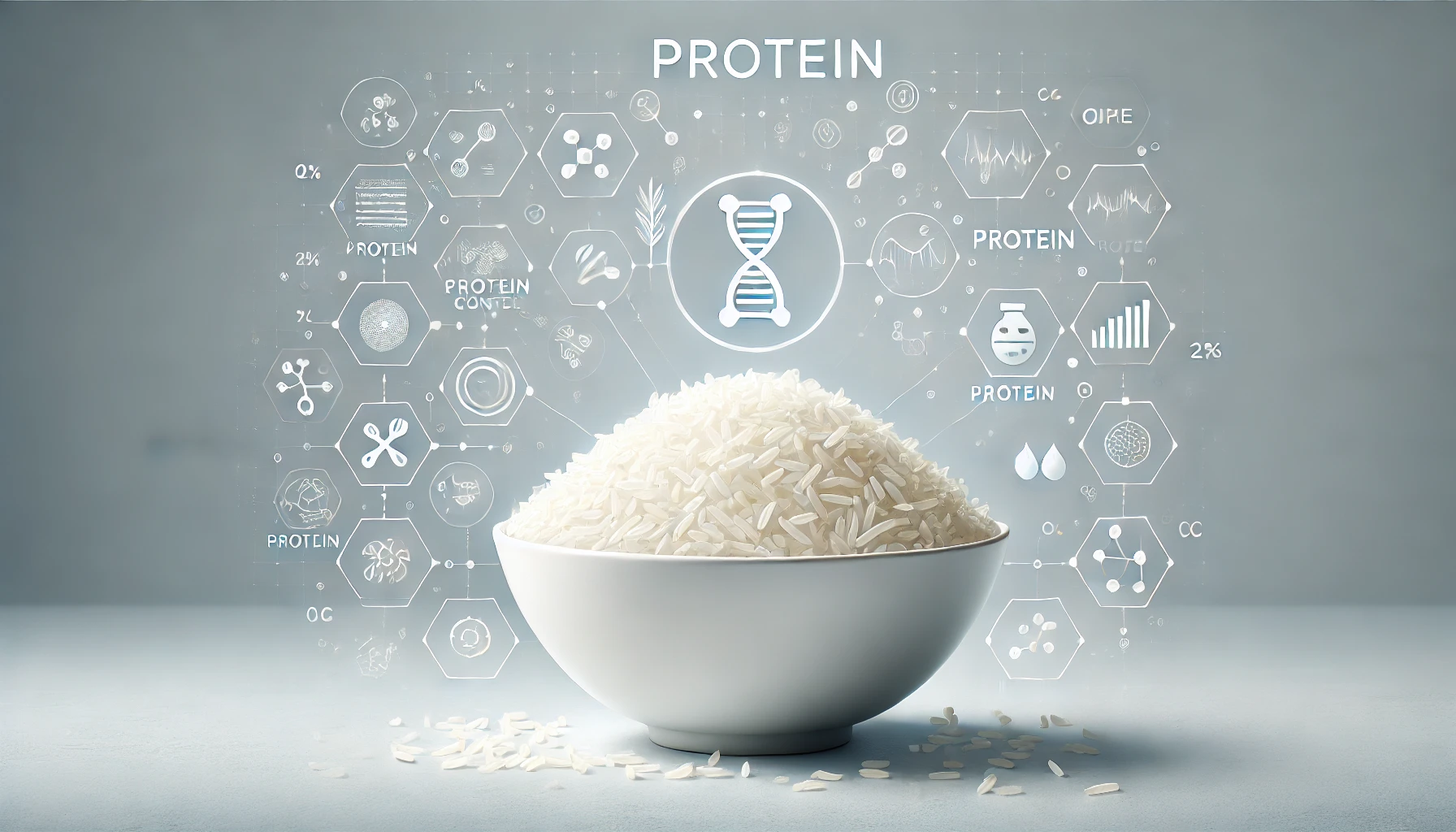 How much protein is in a bowl of white rice