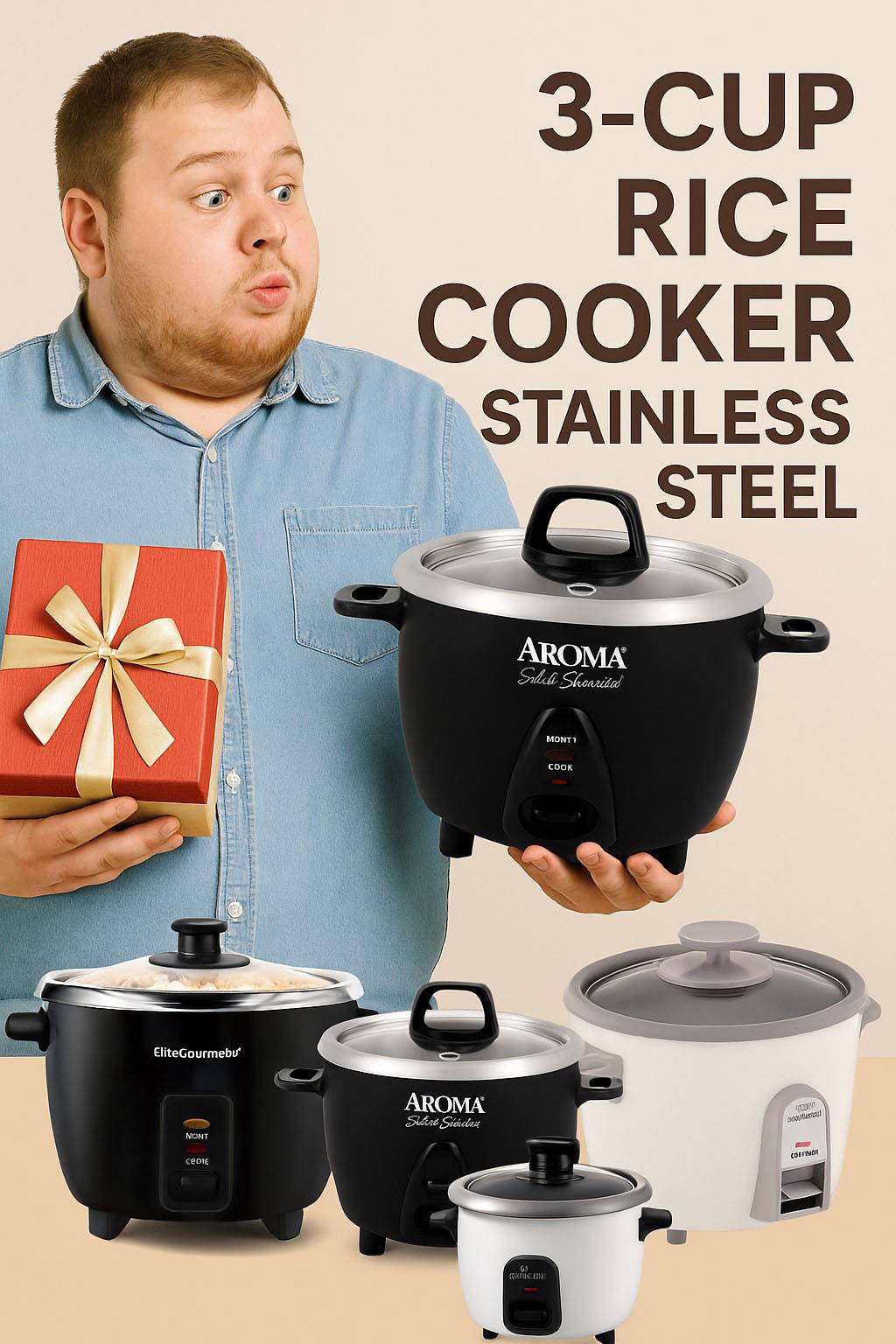 3-cup rice cooker stainless steel 3-cup rice cooker stainless steel